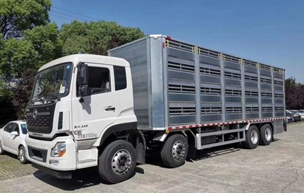 �����|�L��������܇