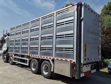 �����|�L��������܇